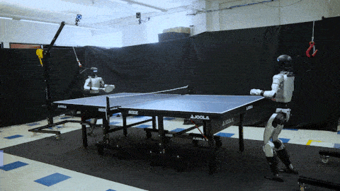 pingpang.gif